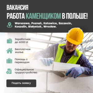 257 aplikacji w pierwszym miesiącu prac w agencji zatrudnienia w Polsce - case iPapus Agency